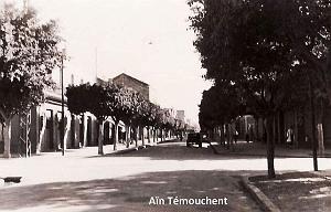 Ain Temouchent 212